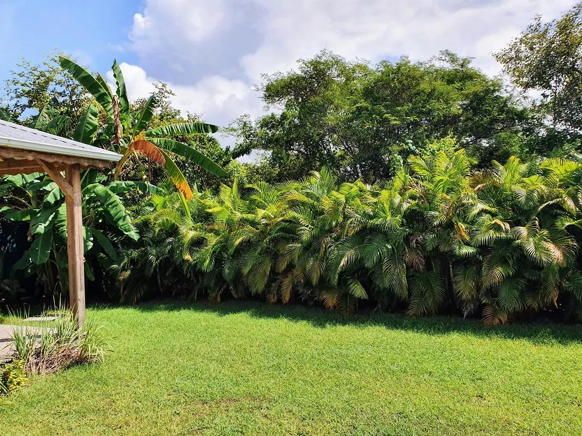 Villa Ohana Sainte-Anne  Guadeloupe