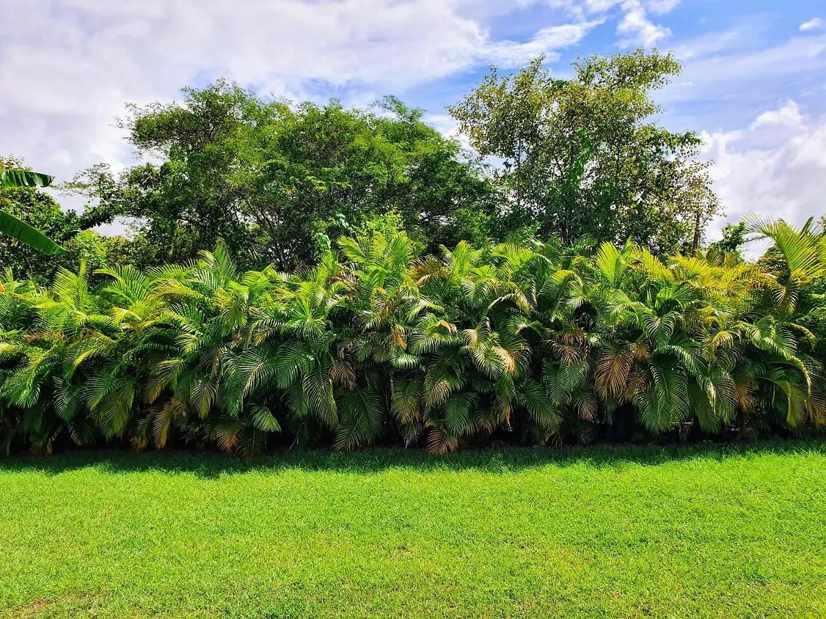 Villa Ohana Sainte-Anne  Sainte-Anne (Grande-Terre)